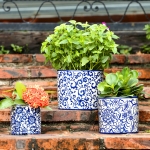 Blue and White Ceramic Planters -  Set/3