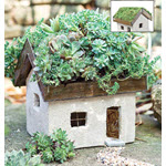 Tabby Cottage with Plantable Roof