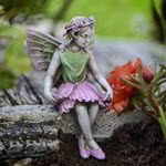 Fairy Evelyn