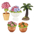 Fairy Garden Potted Flowers - Choice of Colors