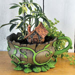 Woodland Fiddlehead Tea Cup Planter Gift Set