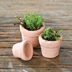 Miniature Clay Pots Set/3