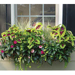 36" Side Planting Window Box & Liner