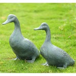 Lucky Duckies Garden Pair