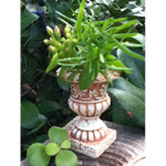 Fairy Garden Urn Planter