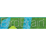 BirdBrain