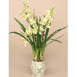 Artificial Potted Cymbidium Orchid