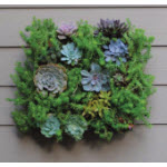 Living Wall Planters with CoCo Liner - Set/4