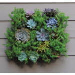 Vertical Wall Planters